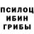 Псилоцибиновые грибы GOLDEN TEACHER Aisha Ahmad