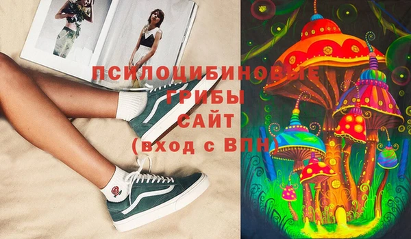 PSILOCYBIN Заводоуковск