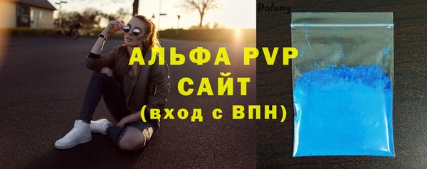 PSILOCYBIN Заводоуковск