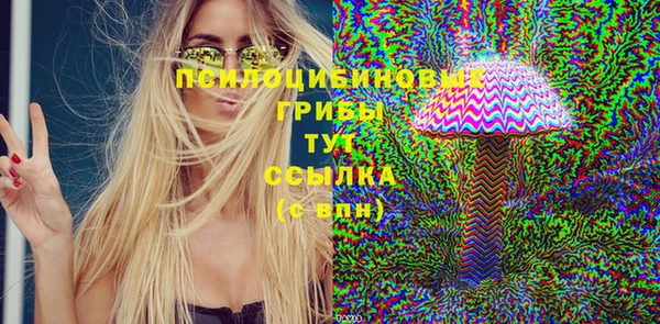 PSILOCYBIN Заводоуковск