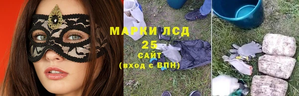 PSILOCYBIN Заводоуковск