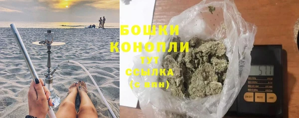 PSILOCYBIN Заводоуковск